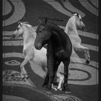 Three Horses - George Peterson